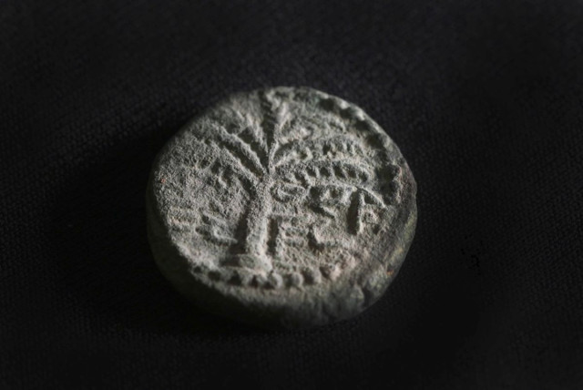 The rare coin. A date palm is engraved, with the inscription “Eleazar the Priest” inscribed in ancient Hebrew script (Photo: Emil Aladjem, Israel Antiquities Authority).