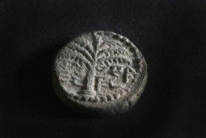 The rare coin. A date palm is engraved, with the inscription “Eleazar the Priest” inscribed in ancient Hebrew script (Photo: Emil Aladjem, Israel Antiquities Authority).