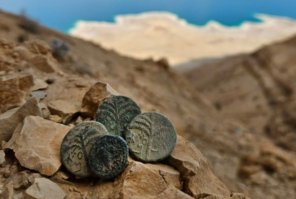 The coins that were found in the desert (Photographer: oriya Amichai, Israel Antiquities Authority).