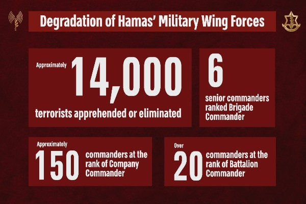 A picture showing the list of the degradation of Hamas' military wing forces, released by the IDF, July 2024 (Photo: IDF).