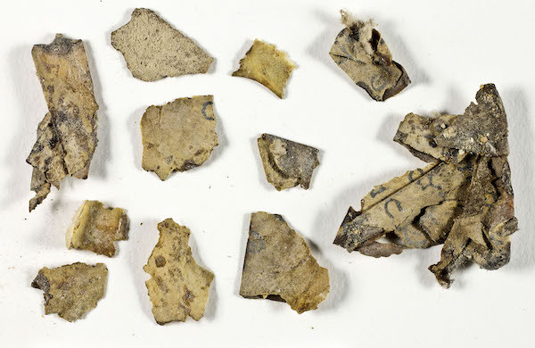Sections of the Book of the Twelve Minor Prophets scroll discovered in the Judean Desert expedition prior to their conservation. Photo: Shai Halevi, Israel Antiquities Authority