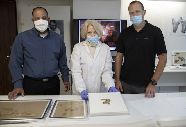 Raz Frohlich, Director General of the Ministry of Culture and Sports, Tanya Bitler, Scroll Conservationist at the Israel Antiquities Authority and Avi Cohen, the Director General of the Ministry of Jerusalem Affairs and Heritage, examining the discovered scroll fragments. (Photo: Shai Halevi/Israel Antiquities Authority)