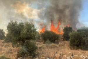 Fire in an agricultural field near Kfar Zeitim (Photo: Rom Atias/Firefighting and Rescue Services)