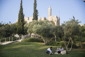 A Jewish Orthodox family has a picnic at Teddy Park, with the Tower of David seen in the background, near the Old City on a hot summer day in Jerusalem, on June 9, 2015. Photo by Hadas Parush/Flash90