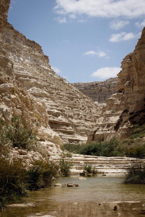 A scenic view of Ein Avdat canyon in The Negev, southern Israel on June 23, 2015 (Photo: Garrett Mills/Flash 90).