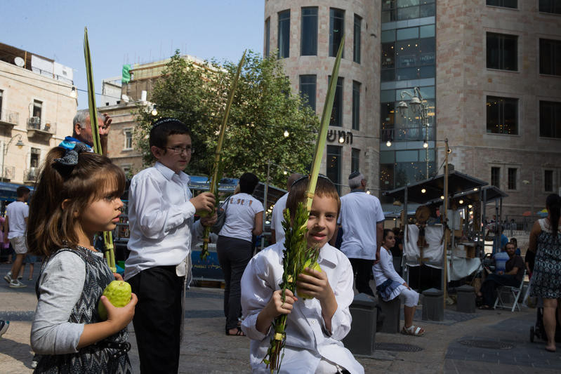 Young Jewish children hold the four plant species - palm leave stalk, citrus, myrtle and willow-branches- used for prayers during the Jewish holiday of Sukkot, on Zion square, downtown Jerusalem. (Photo by Nati Shohat/Flash90)