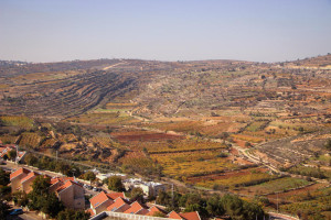 View of the Jewish settlement of Efrat and the surrounding fields, in Gush Etzion, Judea and Samaria, on December 1, 2020. Photo by Gershon Elinson/Flash90