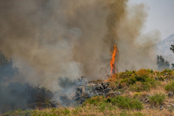 View of a large fire that started from missiles launched from Lebanon near Kibbutz Kfar Szold, northern Israel, June 14, 2024 (Photo: Ayal Margolin/Flash90).