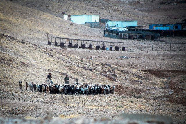View of the Bedouin village of Ras al Auja whose residents were allegedly attacked by Jewish settlers and a number of sheep were stolen, north of Jericho, in the West Bank on June 23, 2024. Photo by Nasser Ishtayeh/Flash90