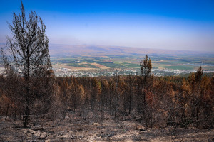 View of the burnt forest caused a rocket fired from Lebanon into northern Israel, near the northern Israeli city of Kiryat Shmona, June 24, 2024. (Photo: David Cohen/Flash90)