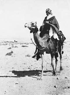 Thomas Edward Lawrence at Aqaba, 1917 (Lawrence of Arabia), (Photo: Wiki-data, from telegraph.co.uk).
