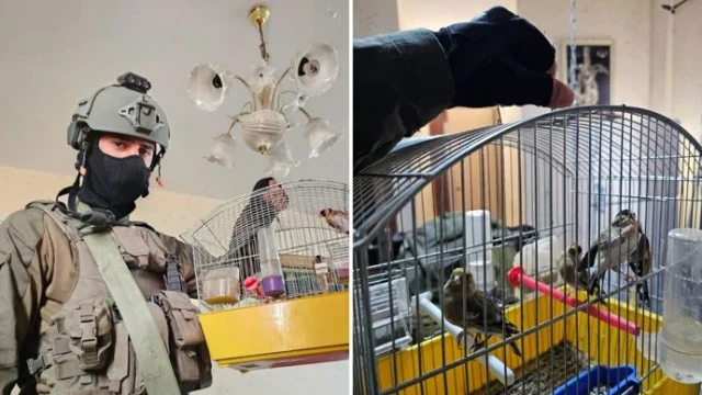 Photo: The Nature and Parks Authority and the Rafi team