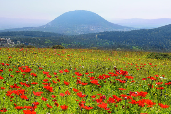 Mount Tabor: Northern Israel’s mountain of history & biblical battles